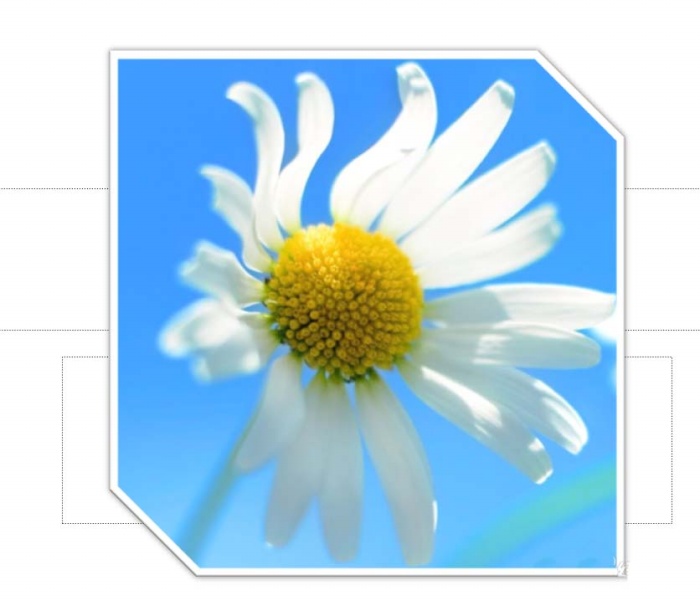 PPT中為截取圖片添加邊框具體操作方法