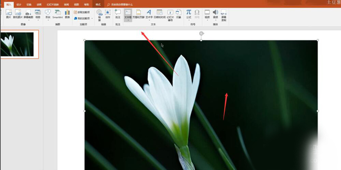 使用PPT制作出動態文字具體操作流程