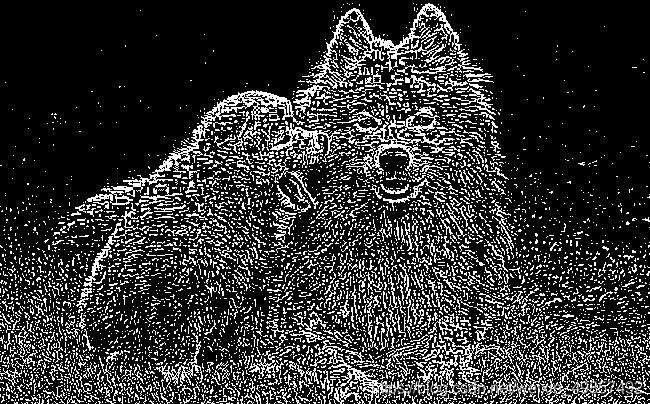 Java swing 圖像處理多種效果實現(xiàn)教程