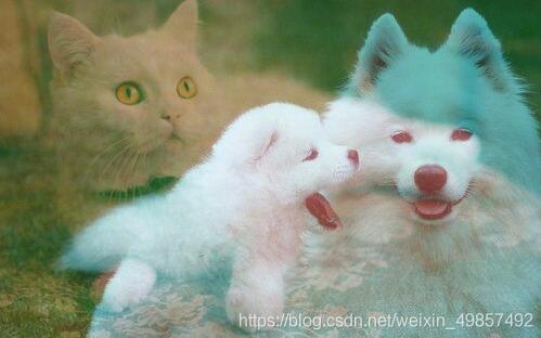 Java swing 圖像處理多種效果實現(xiàn)教程