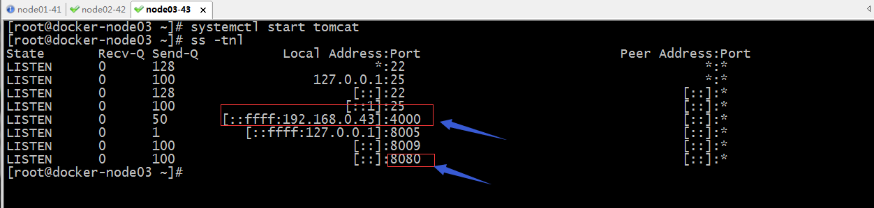 Java應(yīng)用服務(wù)器之tomcat會話復(fù)制集群配置的示例詳解