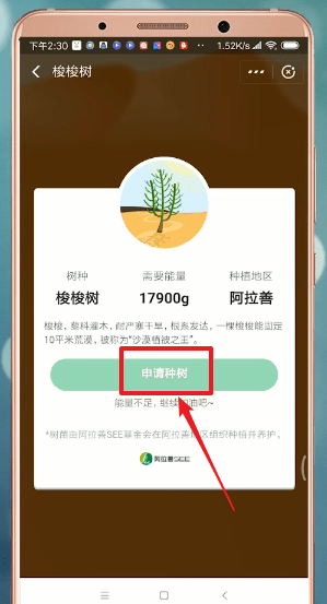 支付寶螞蟻森林獲得環保證書的簡單操作