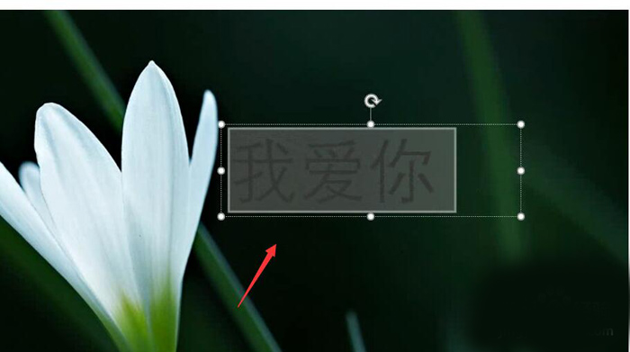 使用PPT制作出動態文字的具體操作流程