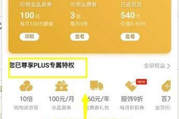 京東中將PIUS會員打開具體操作方法