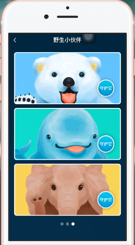 淘寶中野生小伙伴詳情介紹