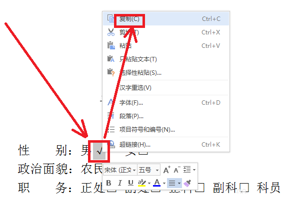 wps中方框內(nèi)打勾詳細(xì)操作流程
