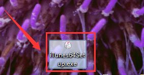 windows7系統(tǒng)中安裝itunes的詳細(xì)操作步驟