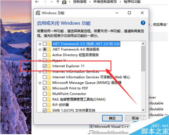Win10系統怎么卸載IE瀏覽器？Win10系統卸載IE瀏覽器教程