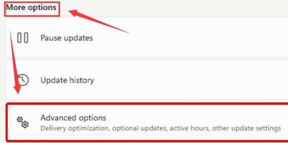 Windows11下載驅動程序步驟介紹