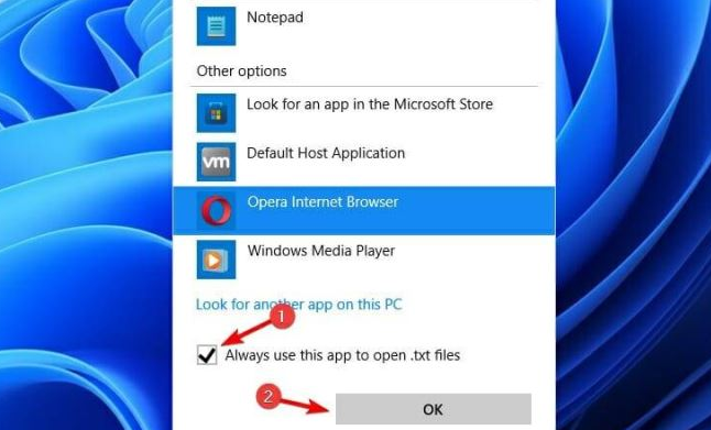 windows11更改應用程序屬性方法介紹