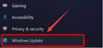 Windows11更新攝像頭驅動步驟介紹