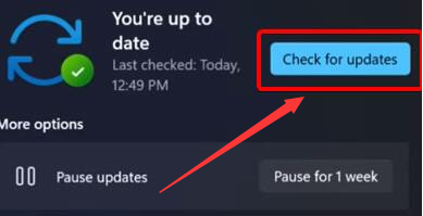 Windows11更新攝像頭驅動步驟介紹