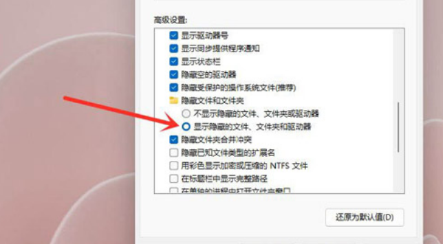 Windows11隱秘項目查看教程分享