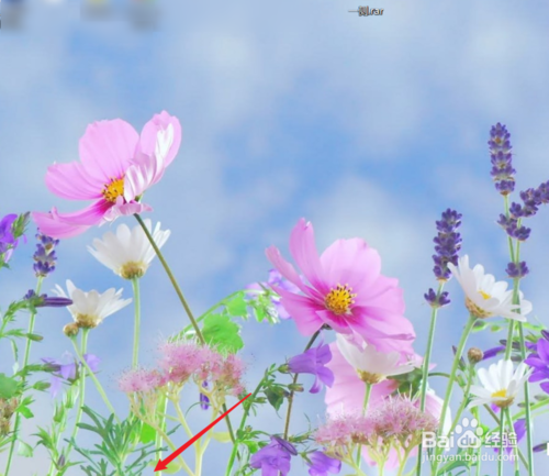 window10任務(wù)欄消失了怎么辦？