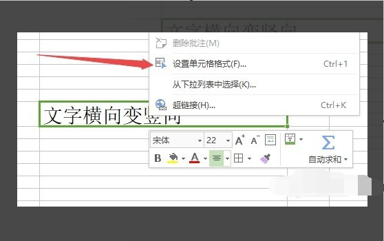 wps表格怎么調(diào)文字方向