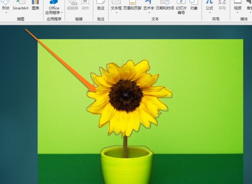 PPT中自由曲線描繪圖形輪廓具體操作步驟