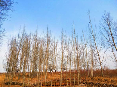 美圖秀秀APP中給圖片調色具體流程介紹