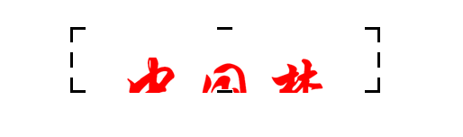 使用PPT設(shè)計(jì)雙色文字具體操作方法