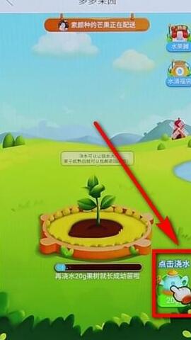 拼多多里多多果園詳細玩法講解