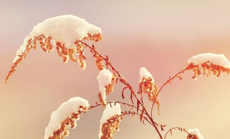 2018朋友圈立冬心情圖分享 非常適合發朋友圈