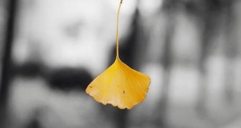 2018朋友圈立冬心情圖分享 非常適合發朋友圈