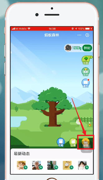 支付寶中螞蟻森林設(shè)置不讓別人收取能量具體操作方法