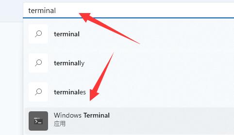 win11提示找不到wt.exe解決方法