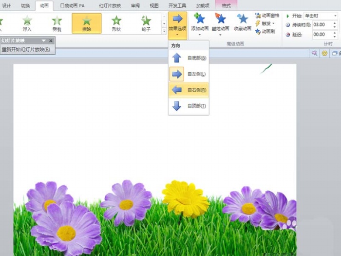 使用ppt制作出柳條生長動畫效果具體操作流程