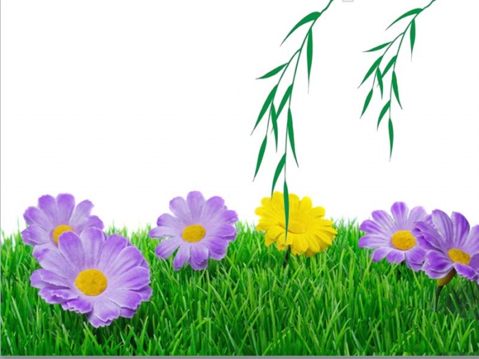 使用ppt制作出柳條生長動畫效果具體操作流程