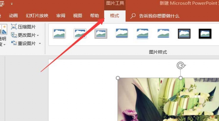 使用ppt制作出各種各樣圖形樣式的具體操作步驟