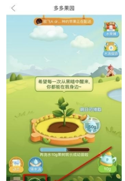 多多果園如何添加好友 添加微信好友教程