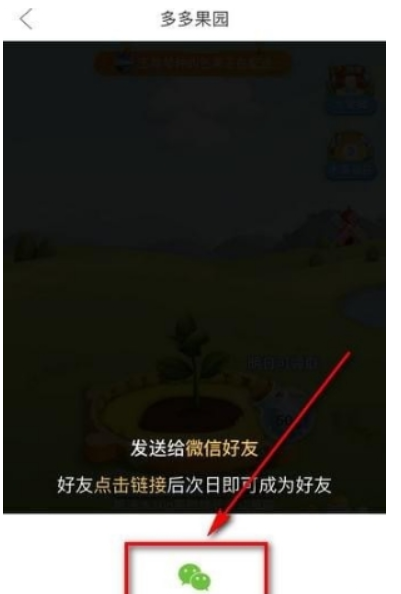 多多果園如何添加好友 添加微信好友教程