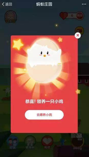 支付寶養(yǎng)雞的好處是什么？支付寶養(yǎng)雞在哪里養(yǎng)？