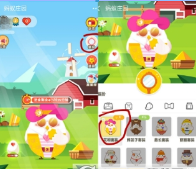 支付寶螞蟻莊園花唄套裝是什么？ 螞蟻莊園花唄套裝可以獲得紅包嗎？