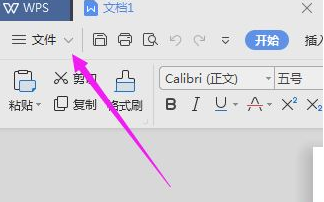 WPS 2019中將文件加密具體操作方法