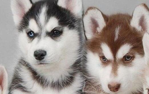 win10顯示器顏色調整方法