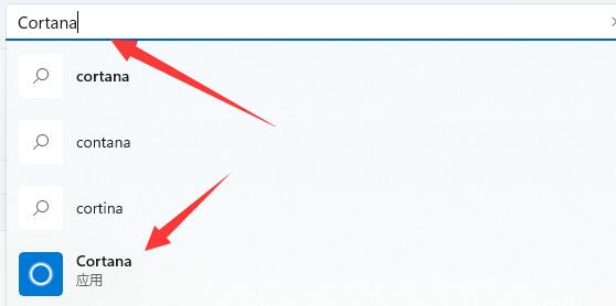 win11有沒有語(yǔ)音助手介紹