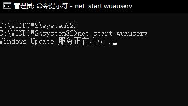 win101903更新錯(cuò)誤0x800f081f解決方法