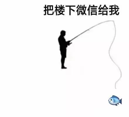 抖音把樓上信息給我表情包   抖音把樓上信息給我表情包分享
