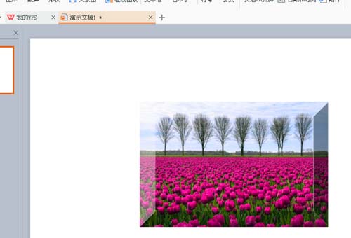 WPS為圖片添加立體棱臺效果具體操作方法