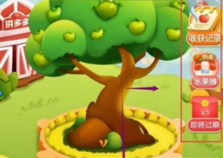 拼多多果園多久成熟？ 多多果園要種多長(zhǎng)時(shí)間？