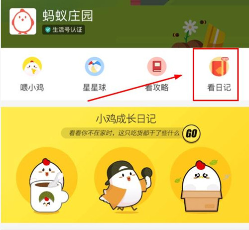 支付寶螞蟻莊園怎么更改小雞姓名 更改教程介紹