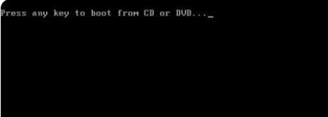 win11系統能否在vm上安裝詳細介紹