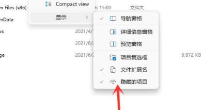 win11隱藏文件打開教程