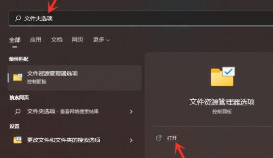win11隱藏文件打開教程