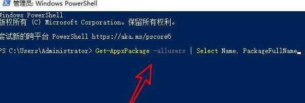 win11應用商店點了沒反應解決方法