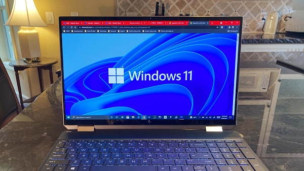 win11 pro版本介紹
