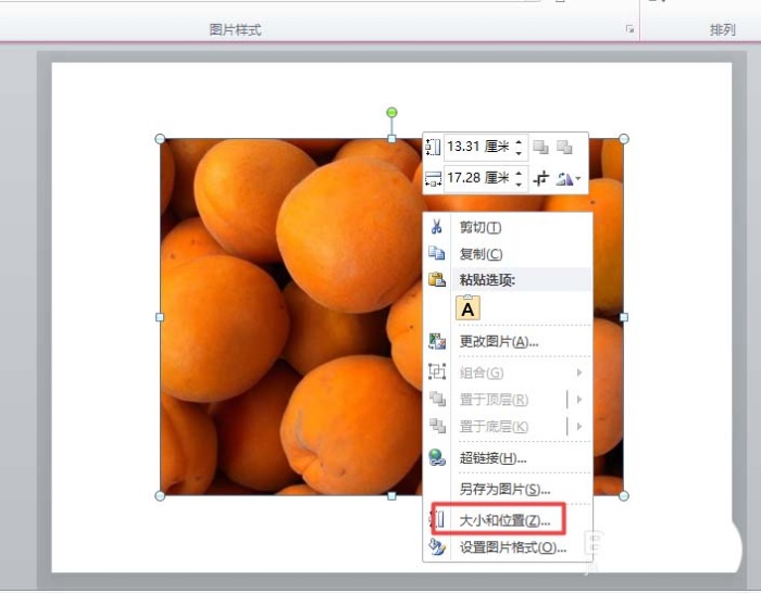 ppt中旋轉(zhuǎn)圖片具體操作方法