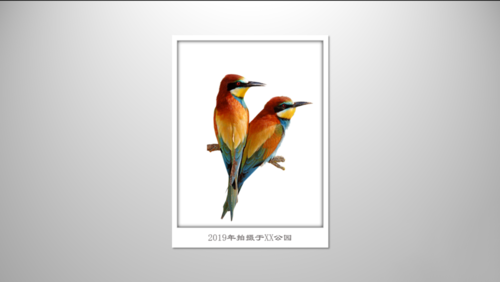 PPT制作立體邊框的操作過程