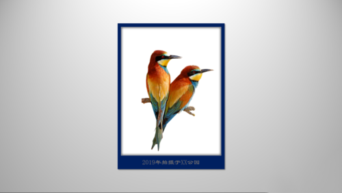 PPT制作立體邊框的操作過程